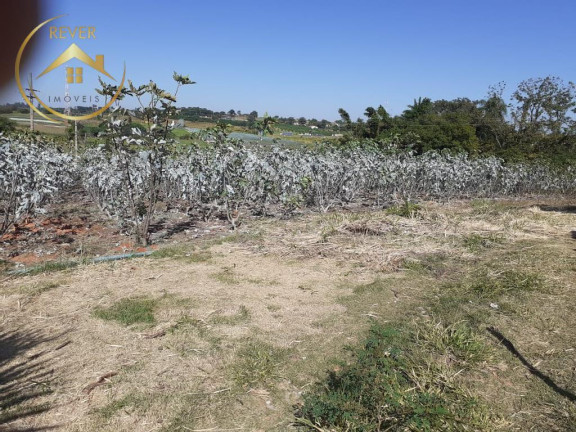 Imagem Imóvel com 9 Quartos à Venda, 69.700 m² em Reforma Agrária - Valinhos