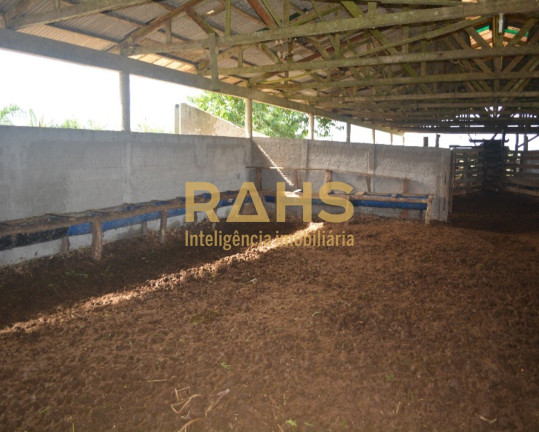 Imagem Fazenda à Venda, 1.500.000 m² em Centro - Garuva Imagem Fazenda à Venda, 1.500.000 m² em Centro - Garuva