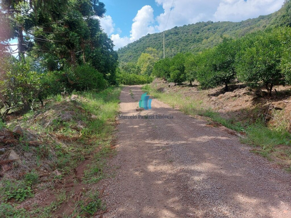 Imagem Terreno à Venda, 109.312 m² em Linha Tiradentes - Veranópolis
