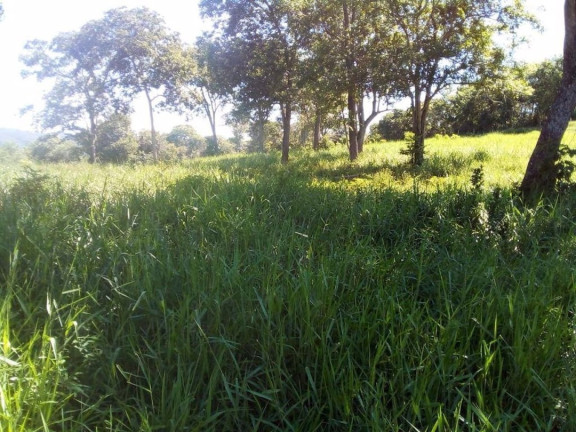 Imagem Fazenda à Venda, 200 m² em Centro - Acorizal Imagem Fazenda à Venda, 200 m² em Centro - Acorizal