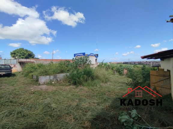 Imagem Terreno para Alugar, 1.200 m² em Pedra Do Descanso - Feira De Santana