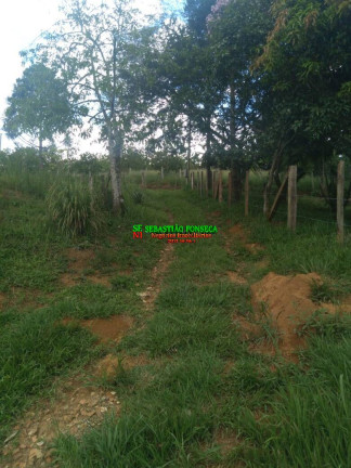 Chácara à Venda, 5.000 m² em Turvo - São José Dos Campos