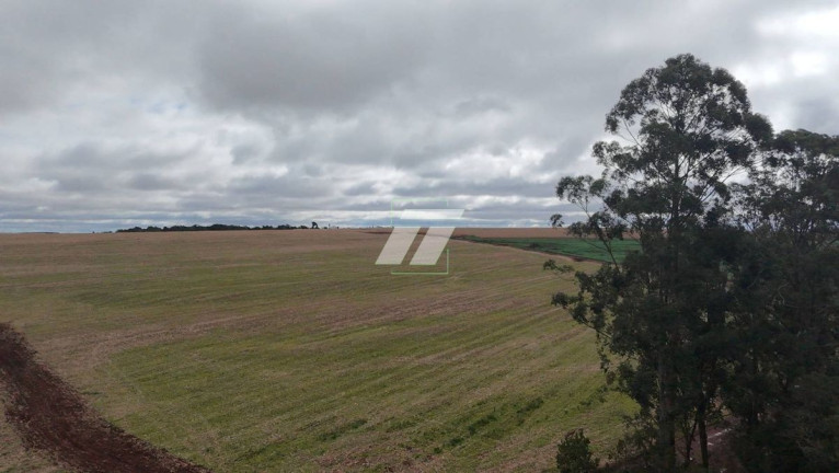 Galpão à Venda,  em área Rural De Cascavel - Cascavel