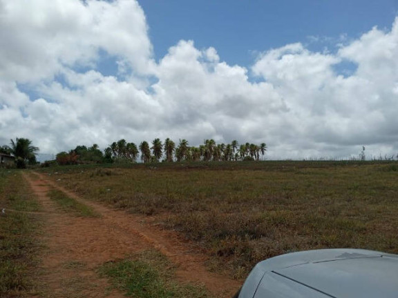 Imagem Terreno à Venda, 63 m² em Goianinha Imagem Terreno à Venda, 63 m² em Goianinha
