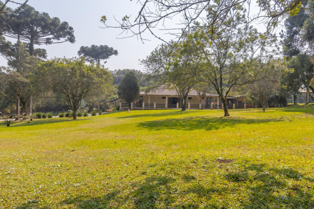 Imagem Imóvel com 4 Quartos à Venda, 37.906 m² em Ouro Verde - Campo Largo