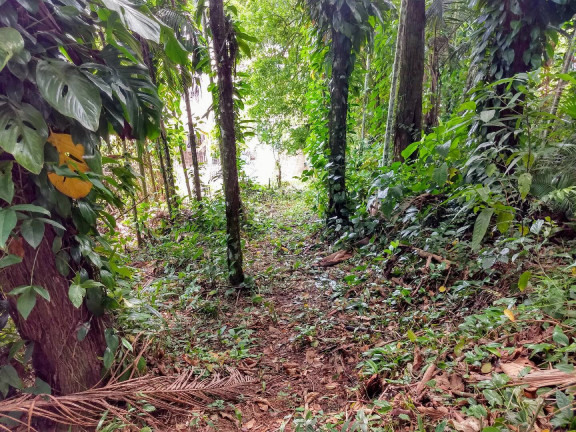 Imagem Terreno à Venda, 900 m² em América - Joinville Imagem Terreno à Venda, 900 m² em América - Joinville
