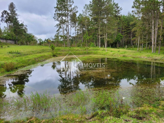 Imagem Chácara com 2 Quartos à Venda, 90 m² em Monte Alegre - Quatro Barras Imagem Chácara com 2 Quartos à Venda, 90 m² em Monte Alegre - Quatro Barras