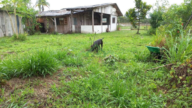 Imagem Chácara com 3 Quartos à Venda, 130 m² em Pinheiros - Balneário Barra Do Sul