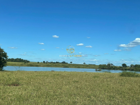 Imagem Imóvel com 3 Quartos à Venda, 423 m² em Zona Rural - Turvelândia Imagem Imóvel com 3 Quartos à Venda, 423 m² em Zona Rural - Turvelândia