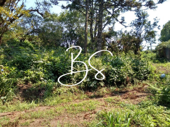 Imagem Imóvel à Venda, 1.000 m² em Serra Grande - Igrejinha