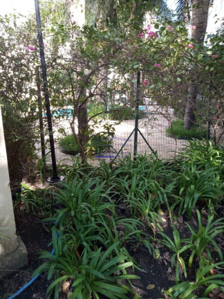 Imagem Imóvel com 2 Quartos à Venda, 45 m² em Cristal - Porto Alegre