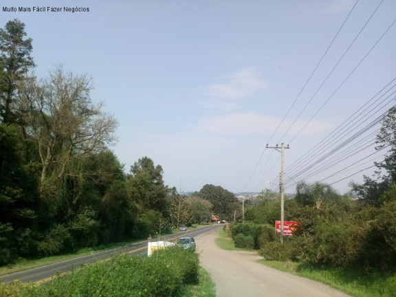 Imagem Terreno à Venda, 5.863 m² em Morro Korb - Nova Petrópolis Imagem Terreno à Venda, 5.863 m² em Morro Korb - Nova Petrópolis