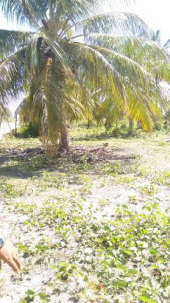 Imagem Terreno à Venda, 2 m² em São Cristóvão - Salvador Imagem Terreno à Venda, 2 m² em São Cristóvão - Salvador