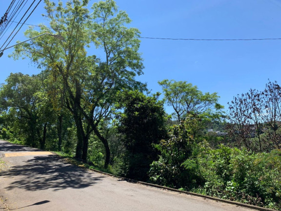 Imagem Terreno à Venda, 1 m² em Centro - Videira Imagem Terreno à Venda, 1 m² em Centro - Videira