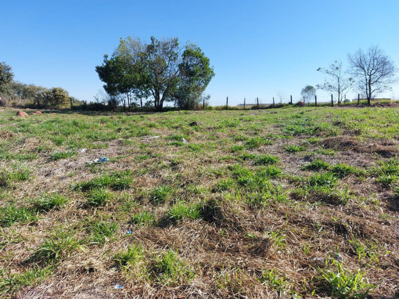 Imagem Terreno à Venda, 281 m² em Residencial Plaza Martin - Botucatu Imagem Terreno à Venda, 281 m² em Residencial Plaza Martin - Botucatu