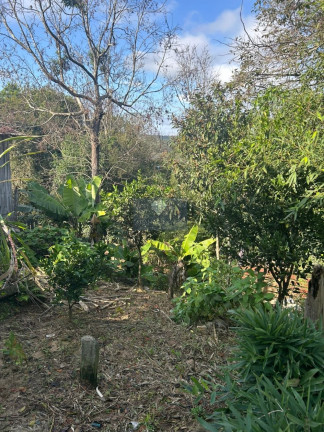 Imagem Casa com 2 Quartos à Venda, 50 m² em Nossa Senhora Do Perpétuo Socorro - Telêmaco Borba Imagem Casa com 2 Quartos à Venda, 50 m² em Nossa Senhora Do Perpétuo Socorro - Telêmaco Borba