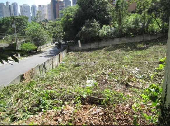 Imagem Terreno à Venda, 2.442 m² em Vila Suzana - São Paulo
