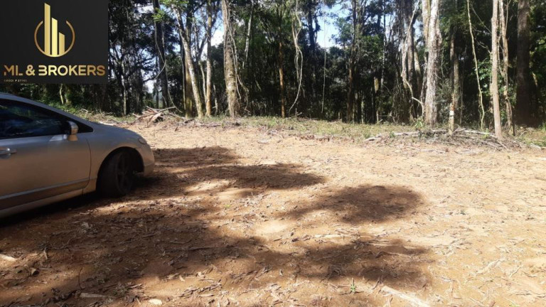 Imagem Imóvel à Venda, 20.000 m² em Quitandinha - Quitandinha Imagem Imóvel à Venda, 20.000 m² em Quitandinha - Quitandinha