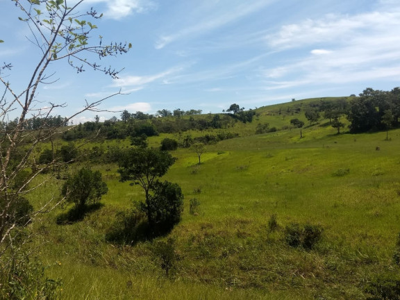 Imagem Chácara à Venda, 400.000 m² em Barreiro - Taubaté Imagem Chácara à Venda, 400.000 m² em Barreiro - Taubaté