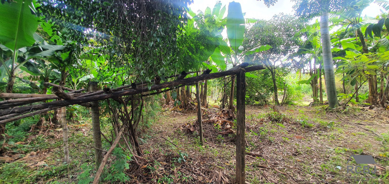 Imagem Casa com 6 Quartos à Venda, em São Gonçalo - Contagem Imagem Casa com 6 Quartos à Venda, em São Gonçalo - Contagem