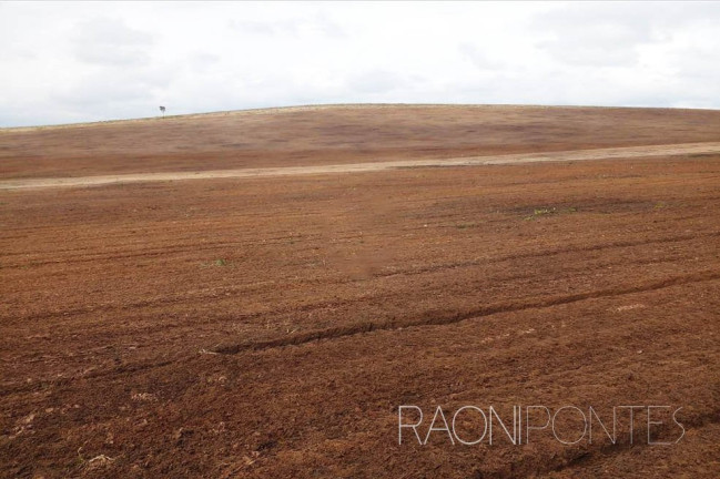 Imagem Fazenda à Venda, 18.420.000 m² em Zona Rural - Darcinópolis Imagem Fazenda à Venda, 18.420.000 m² em Zona Rural - Darcinópolis