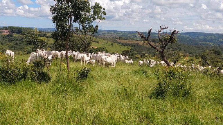 Imagem Fazenda à Venda, 63 m² em Zona Rural - Abadiânia Imagem Fazenda à Venda, 63 m² em Zona Rural - Abadiânia
