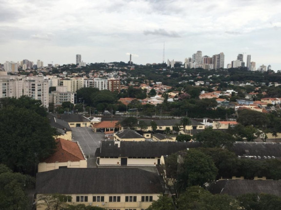 Imagem Apartamento com 3 Quartos para Alugar, 79 m² em Vila Anastácio - São Paulo