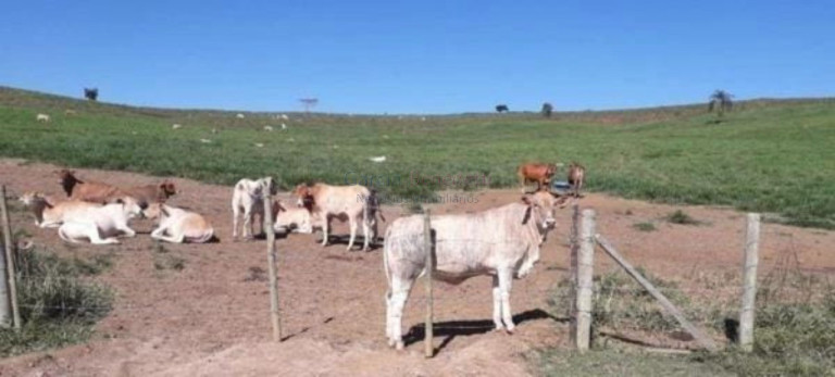 Imagem Imóvel com 2 Quartos à Venda, 2.541.000 m² em Jardim Bela Vista - São José Dos Campos Imagem Imóvel com 2 Quartos à Venda, 2.541.000 m² em Jardim Bela Vista - São José Dos Campos