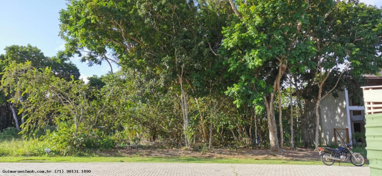 Imagem Terreno à Venda, 600 m² em Praia Do Forte - Mata De São João Imagem Terreno à Venda, 600 m² em Praia Do Forte - Mata De São João