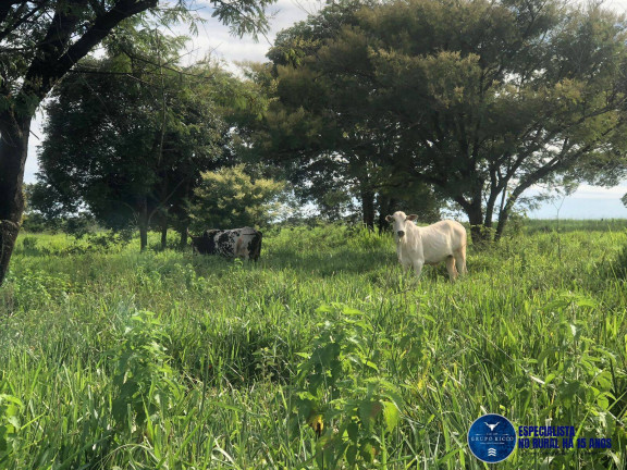 Chácara à Venda, 1 m² em Zona Rural - Santa Bárbara De Goiás