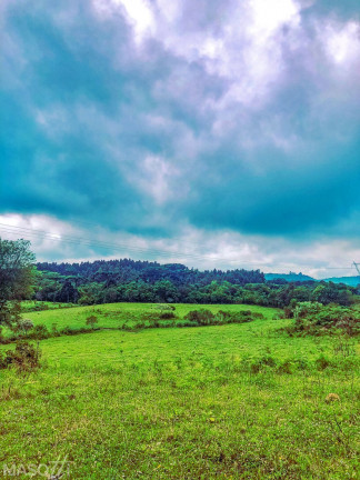 Imagem Chácara à Venda, 70.000 m² em Serra Grande Alemã - Gramado Imagem Chácara à Venda, 70.000 m² em Serra Grande Alemã - Gramado