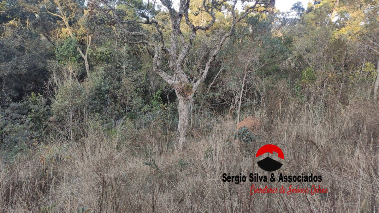 Imagem Terreno à Venda, 906 m² em Campos Do Jordão Imagem Terreno à Venda, 906 m² em Campos Do Jordão