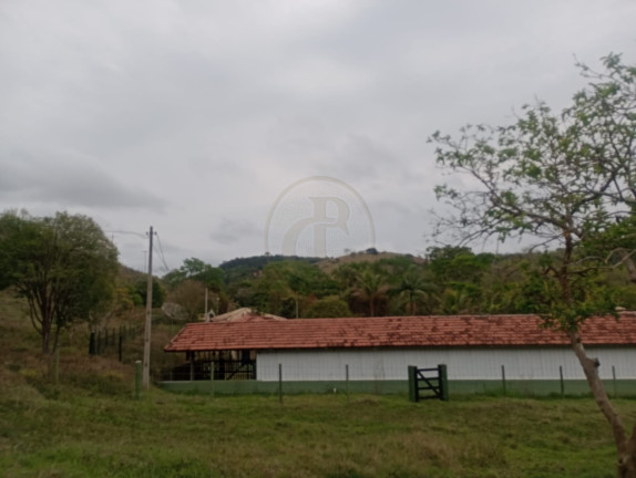 Imagem Chácara com 4 Quartos à Venda, 100 m² em Capim D\'agola - Paraibuna Imagem Chácara com 4 Quartos à Venda, 100 m² em Capim D\'agola - Paraibuna