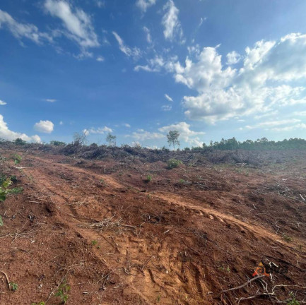 Imagem Terreno à Venda, 20.000 m² Imagem Terreno à Venda, 20.000 m²