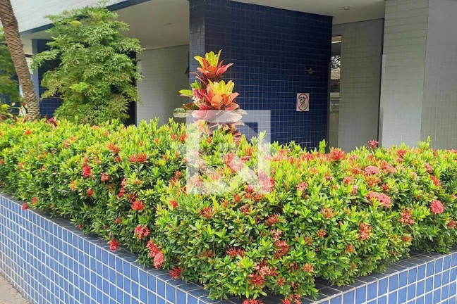 Imagem Apartamento com 2 Quartos à Venda, 65 m² em Barra Da Tijuca - Rio De Janeiro Imagem Apartamento com 2 Quartos à Venda, 65 m² em Barra Da Tijuca - Rio De Janeiro