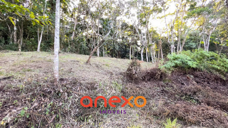 Imagem Terreno à Venda, 9.690 m² em Itoupavazinha - Blumenau Imagem Terreno à Venda, 9.690 m² em Itoupavazinha - Blumenau