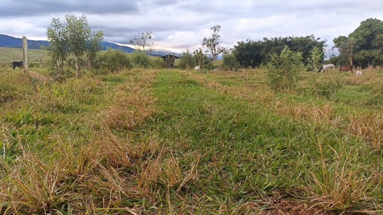 Imagem Fazenda à Venda, 100 m² em Estiva - Taubaté