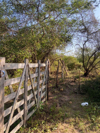 Imagem Fazenda à Venda, 310.000 m² em Br 116 - Euclides Da Cunha Imagem Fazenda à Venda, 310.000 m² em Br 116 - Euclides Da Cunha