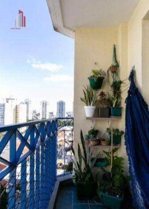 Imagem Apartamento com 3 Quartos à Venda, 59 m² em Parque Mandaqui - São Paulo Imagem Apartamento com 3 Quartos à Venda, 59 m² em Parque Mandaqui - São Paulo