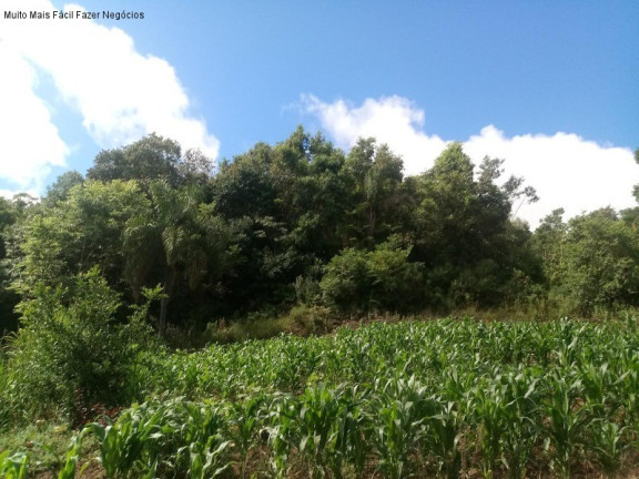 Imagem Terreno à Venda, 450 m² em Germânia - Nova Petrópolis Imagem Terreno à Venda, 450 m² em Germânia - Nova Petrópolis