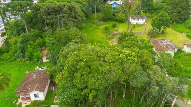 Imagem Terreno à Venda, 4.250 m² em Campo Comprido - Curitiba