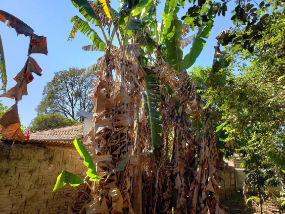 Imagem Fazenda à Venda, 1.782 m² em Vila Santa Fé - Pirassununga Imagem Fazenda à Venda, 1.782 m² em Vila Santa Fé - Pirassununga