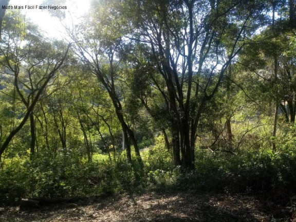 Imagem Terreno à Venda, 1.646 m² em Pousada Da Neve - Nova Petrópolis Imagem Terreno à Venda, 1.646 m² em Pousada Da Neve - Nova Petrópolis