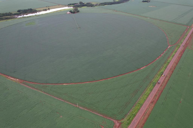 Imagem Fazenda à Venda, 17 m² em Zona Rural - Acreúna Imagem Fazenda à Venda, 17 m² em Zona Rural - Acreúna