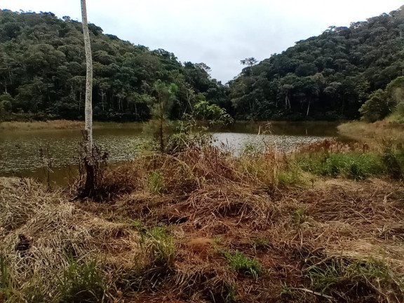 Imagem Imóvel com 2 Quartos à Venda, 187.000 m² em Palmeiras - Juquitiba