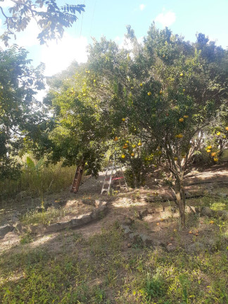 Imagem Chácara com 3 Quartos à Venda, 5 m² em Alexânia Imagem Chácara com 3 Quartos à Venda, 5 m² em Alexânia