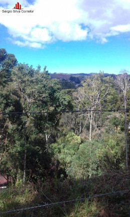 Imagem Terreno à Venda, 1.300 m² em Vila Capivari - Campos Do Jordão