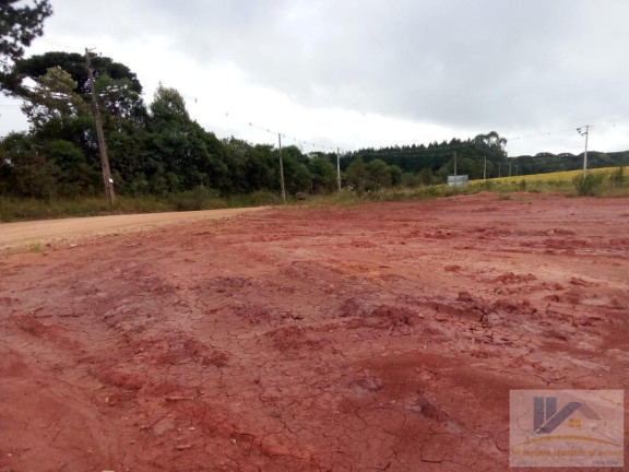 Imagem Terreno à Venda, 4.411 m² em Campo Largo Da Roseira - São José Dos Pinhais Imagem Terreno à Venda, 4.411 m² em Campo Largo Da Roseira - São José Dos Pinhais