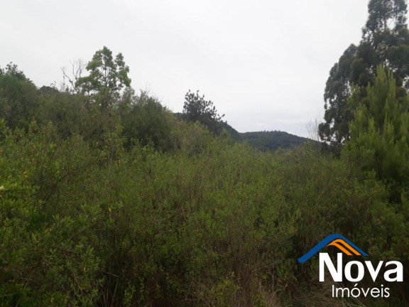 Imagem Imóvel à Venda, 10.211 m² em Linha Araripe - Nova Petrópolis