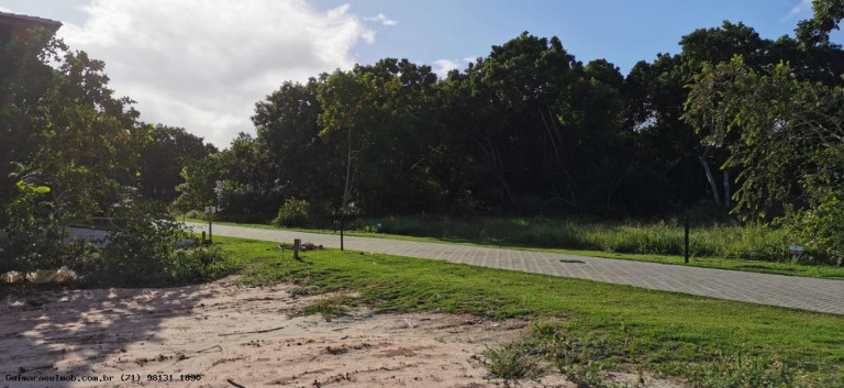 Imagem Terreno à Venda, 600 m² em Praia Do Forte - Mata De São João Imagem Terreno à Venda, 600 m² em Praia Do Forte - Mata De São João